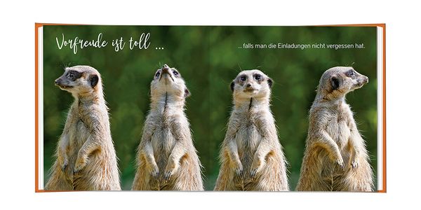 Produktbild: Zum runden Geburtstag! Vergiss die erste Ziffer!