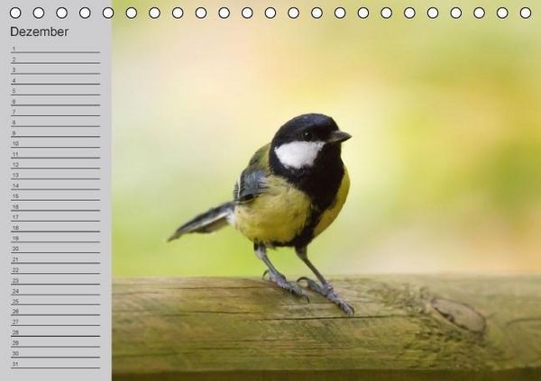 Produktbild: Waldges&auml;nge - Geburtstagskalender (Tischkalender immerw&auml;hrend DIN A5 quer)