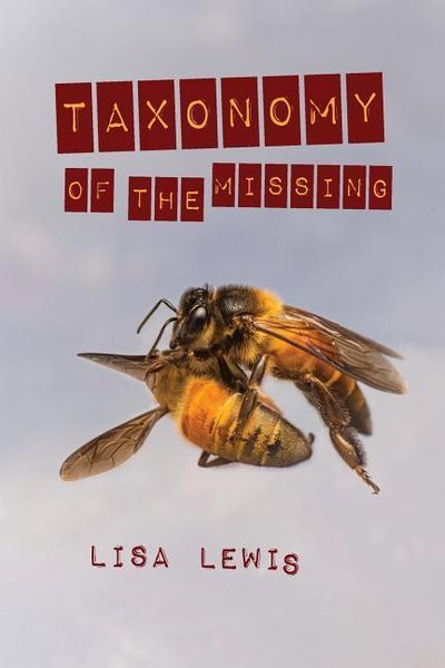 Produktbild: Taxonomy of the Missing