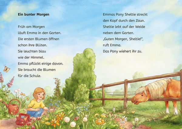 Produktbild: Sheltie, B&uuml;cherhelden 1. Klasse, Sheltie in der Schule