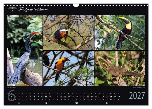 Produktbild: Costa Rica Blickwinkel 2027 (Wandkalender 2027 DIN A3 quer), CALVENDO Monatskalender