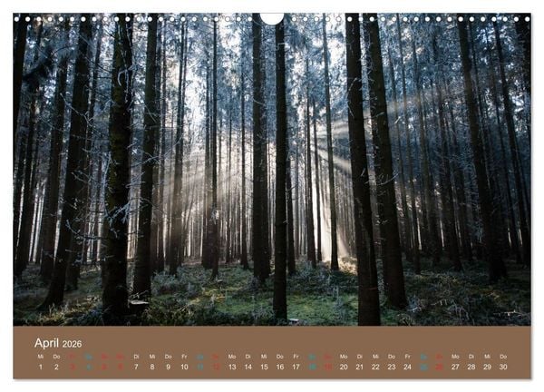 Produktbild: Fasziantion Natur (Wandkalender 2026 DIN A3 quer), CALVENDO Monatskalender