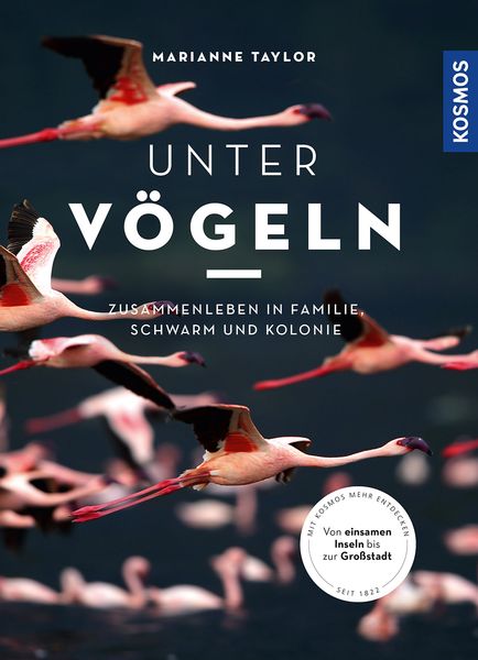 Unter Vögeln