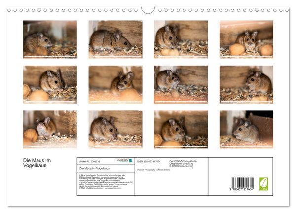 Produktbild: Die Maus im Vogelhaus (Wandkalender 2026 DIN A3 quer), CALVENDO Monatskalender