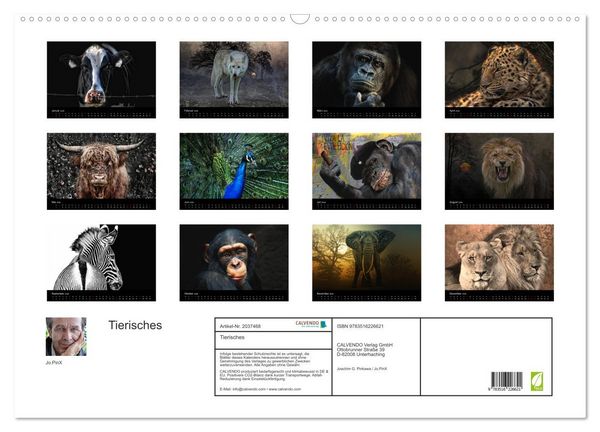Produktbild: Tierisches (Wandkalender 2026 DIN A2 quer), CALVENDO Monatskalender