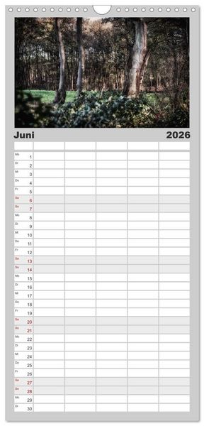 Produktbild: Familienplaner 2026 - Mystische W&auml;lder mit 5 Spalten (Wandkalender, 21 x 45 cm) CALVENDO
