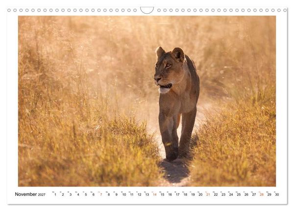 Produktbild: Afrika Wildlife-Fotografien (Wandkalender 2027 DIN A3 quer), CALVENDO Monatskalender