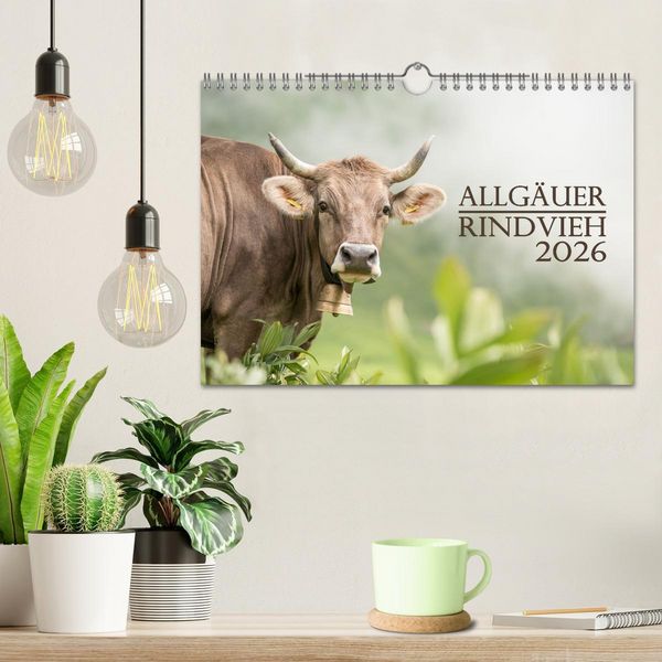 Produktbild: Allg&auml;uer Rindvieh 2026 (Wandkalender 2026 DIN A4 quer), CALVENDO Monatskalender