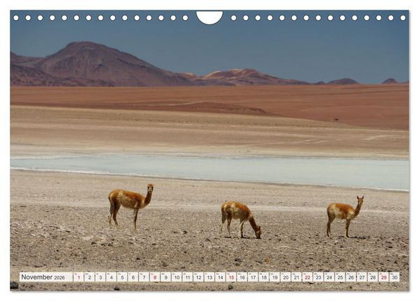Produktbild: Bolivien - Unterwegs im Hochland (Wandkalender 2026 DIN A4 quer), CALVENDO Monatskalender