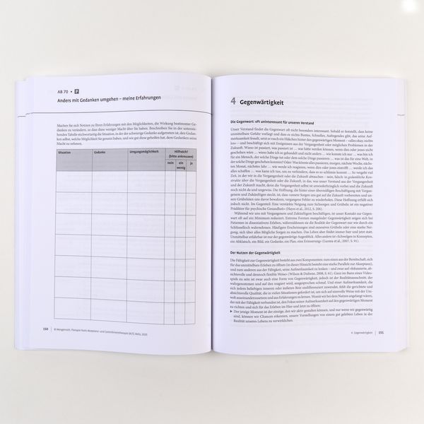 Produktbild: Therapie-Tools Akzeptanz- und Commitmenttherapie (ACT)