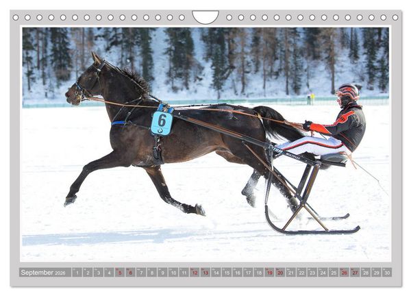 Produktbild: Pferde-Rennen auf Schnee und im Wasser (Wandkalender 2026 DIN A4 quer), CALVENDO Monatskalender