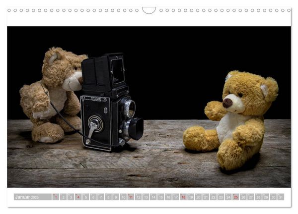Produktbild: Eddy, der Teddy - 12 Bilder zum Schmunzeln (Wandkalender 2026 DIN A3 quer), CALVENDO Monatskalender