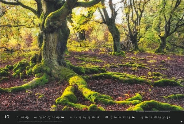 Produktbild: Deutschlands Naturparadiese Kalender 2027 - Edition Alexander von Humboldt Kalender 2027