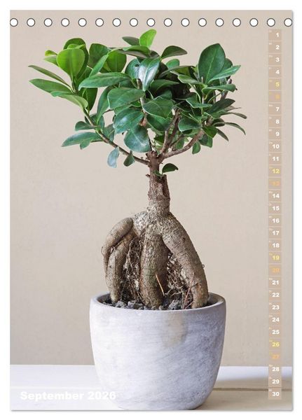 Produktbild: Bonsai: Gartenkunst im Kleinen (Tischkalender 2026 DIN A5 hoch), CALVENDO Monatskalender