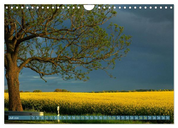 Produktbild: Buschvitz - Geografischer Mittelpunkt der Insel R&uuml;gen (Wandkalender 2026 DIN A4 quer), CALVENDO Monatskalender