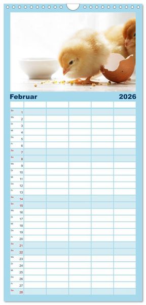 Produktbild: Familienplaner 2026 - K&uuml;ken in der Kinderstube mit 5 Spalten (Wandkalender, 21 x 45 cm) CALVENDO