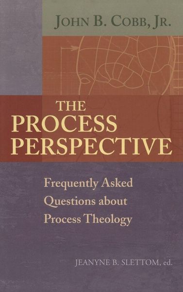 Produktbild: The Process Perspective