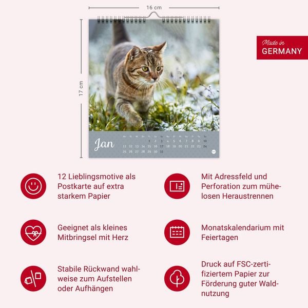 Produktbild: Katzen Postkartenkalender Kleine Tiger 2027