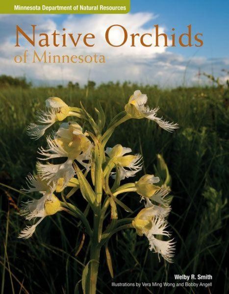 Produktbild: Native Orchids of Minnesota