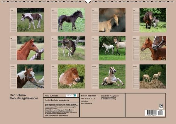 Produktbild: Der Fohlen-Geburtstagskalender (Wandkalender immerw&auml;hrend DIN A2 quer)