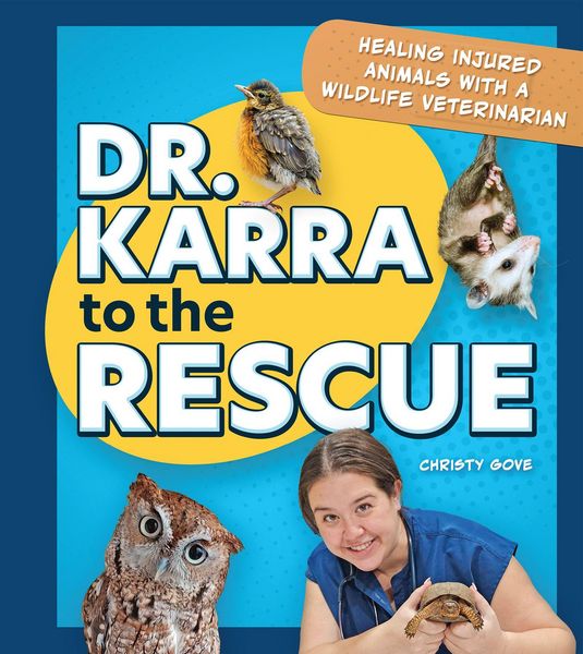 Produktbild: Dr. Karra to the Rescue