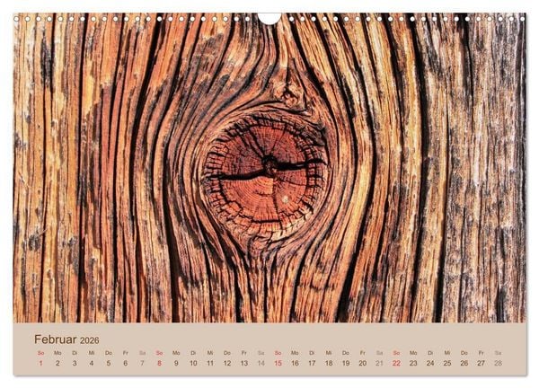 Produktbild: Farben des Holzes (Wandkalender 2026 DIN A3 quer), CALVENDO Monatskalender