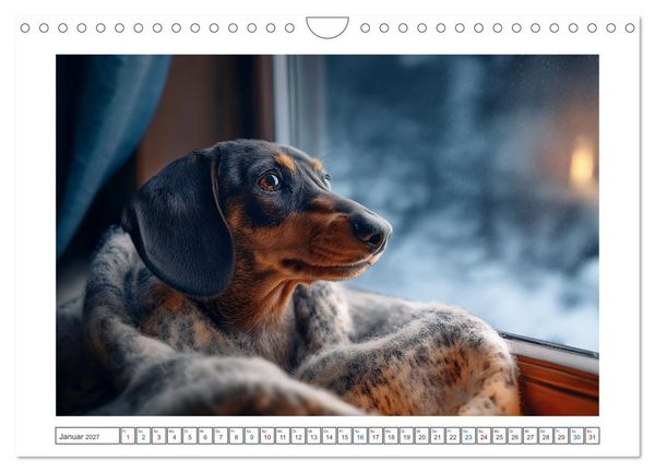 Produktbild: Kleine Beine, gro&szlig;es Gl&uuml;ck (Wandkalender 2027 DIN A4 quer), CALVENDO Monatskalender