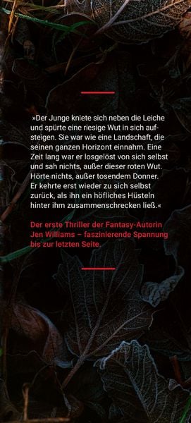 Produktbild: Der Herzgr&auml;ber