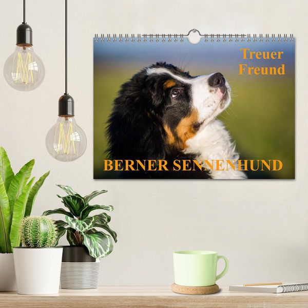 Produktbild: Treuer Freund Berner Sennenhund (Wandkalender 2026 DIN A4 quer), CALVENDO Monatskalender