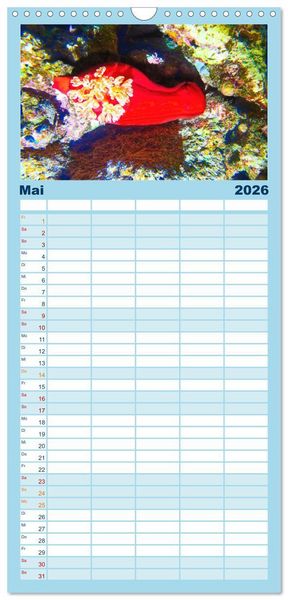 Produktbild: Familienplaner 2026 - Geheimnisvolle Welt unter Wasser - Nachts am Riff mit 5 Spalten (Wandkalender, 21 x 45 cm) CALVENDO