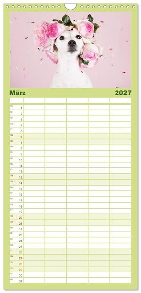 Produktbild: Familienplaner 2027 - Die Parson-Russell-Terrier...mit neuen Abenteuern aus der Hundeknipserei mit 5 Spalten (Wandkalender, 21 x 45 cm) CALVENDO