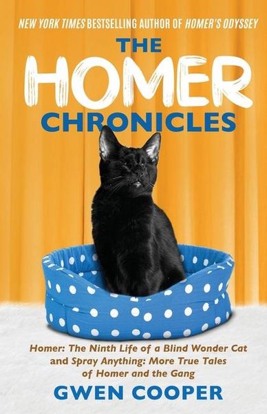 Produktbild: The Homer Chronicles