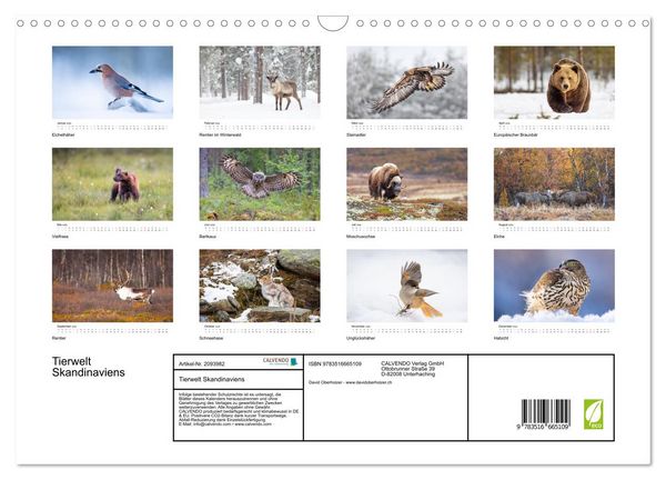 Produktbild: Tierwelt Skandinaviens (Wandkalender 2026 DIN A3 quer), CALVENDO Monatskalender