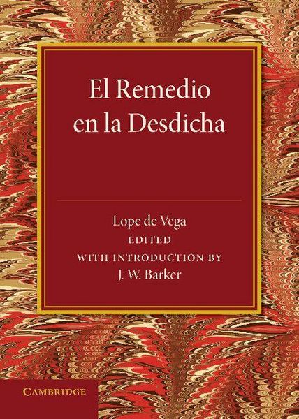 Produktbild: El Remedio En La Desdicha