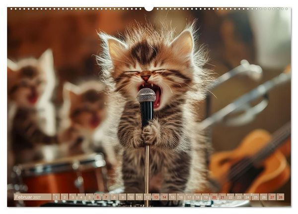 Produktbild: Miau-sikalische Momente (hochwertiger Premium Wandkalender 2027 DIN A2 quer), Kunstdruck in Hochglanz