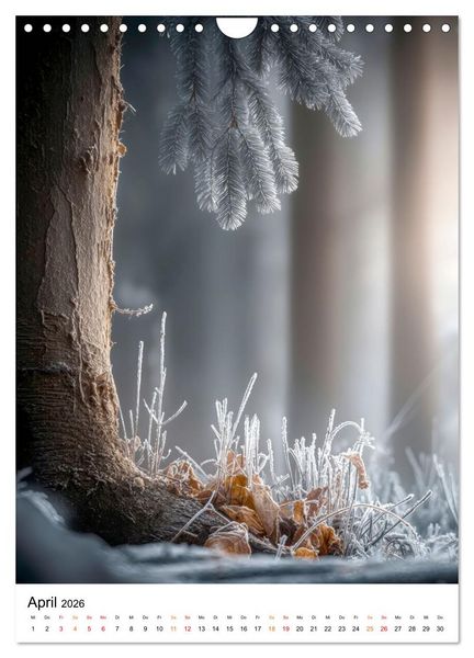 Produktbild: Wintermomente - Natur im wei&szlig;en Kleid (Wandkalender 2026 DIN A4 hoch), CALVENDO Monatskalender
