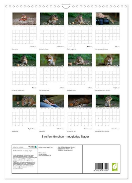 Produktbild: Streifenh&ouml;rnchen - neugierige Nager (Wandkalender 2026 DIN A3 hoch), CALVENDO Monatskalender