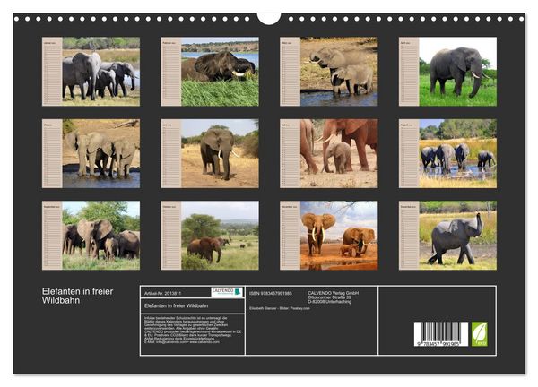 Produktbild: Elefanten in freier Wildbahn (Wandkalender 2026 DIN A3 quer), CALVENDO Monatskalender