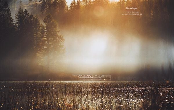 Produktbild: Fotografie – Inspired by life