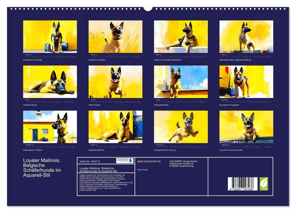 Produktbild: Loyaler Malinois. Belgische Sch&auml;ferhunde im Aquarell-Stil (hochwertiger Premium Wandkalender 2026 DIN A2 quer), Kunstdruck in Hochglanz