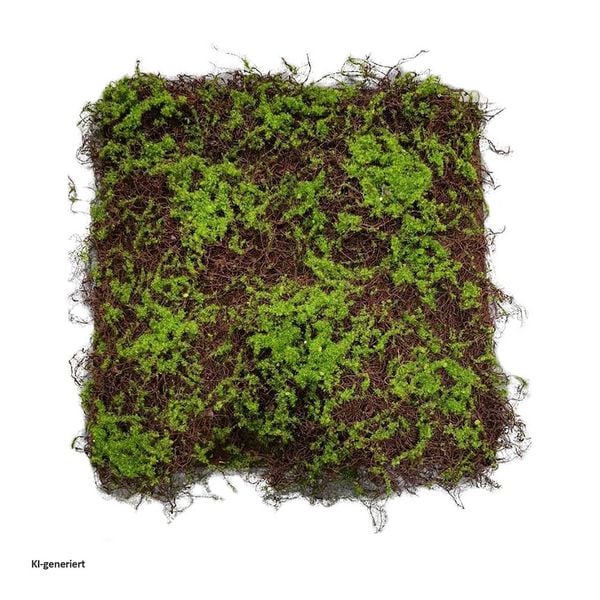 Produktbild: HTI-Living HTI-Living Moosmatte 50 x 50 cm Kunstpflanze Flora