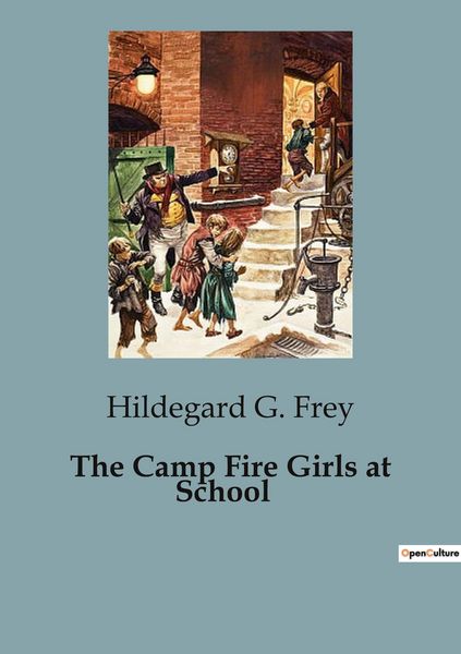 Produktbild: The Camp Fire Girls at School