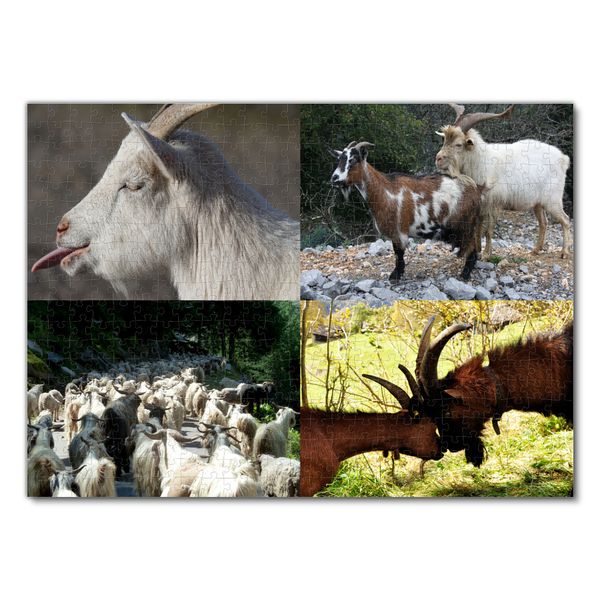 Produktbild: Lais Puzzle Collage Ziege 500 Teile