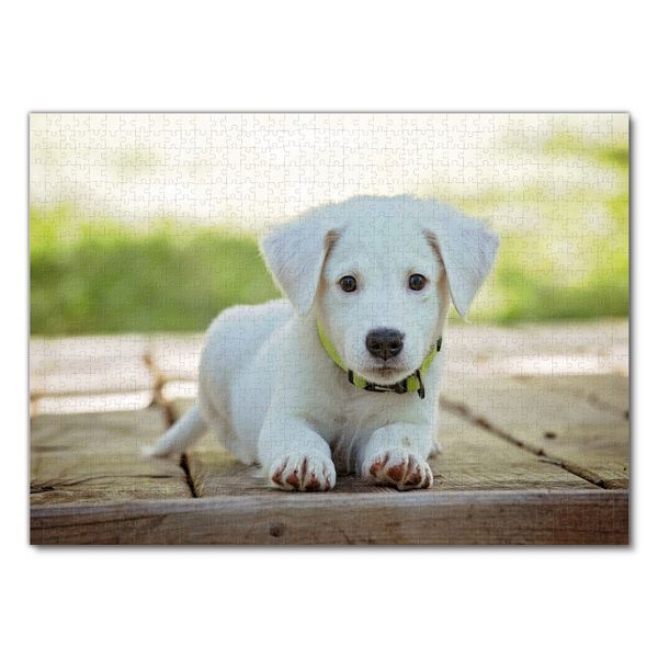 Produktbild: Lais Puzzle Hund 1000 Teile