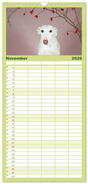 Produktbild: Familienplaner 2026 - Der Windhundekalender mit 5 Spalten (Wandkalender, 21 x 45 cm) CALVENDO