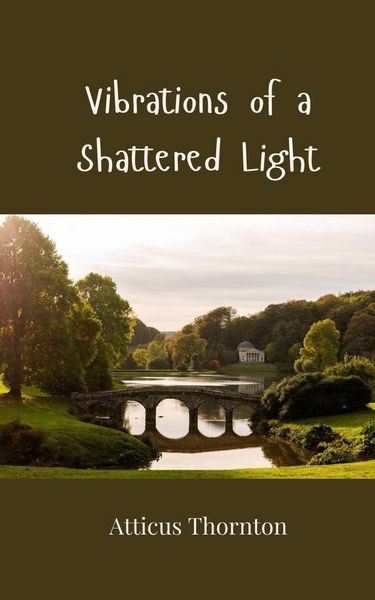 Produktbild: Vibrations of a Shattered Light