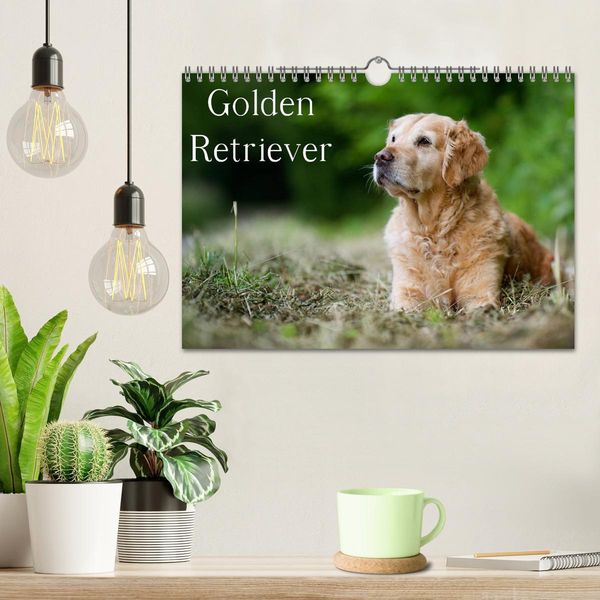 Produktbild: Golden Retriever (Wandkalender 2026 DIN A4 quer), CALVENDO Monatskalender