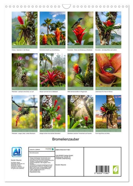 Produktbild: Bromelienzauber (Wandkalender 2027 DIN A3 hoch), CALVENDO Monatskalender