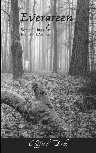 Produktbild: Evergreen - Some Things Are Best Left Alone