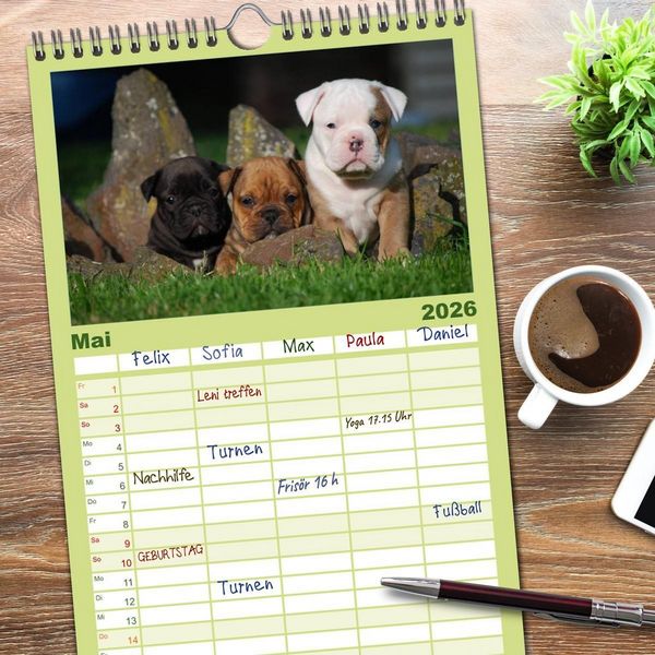 Produktbild: Familienplaner 2026 - Bulldoggen-Kinder mit 5 Spalten (Wandkalender, 21 x 45 cm) CALVENDO